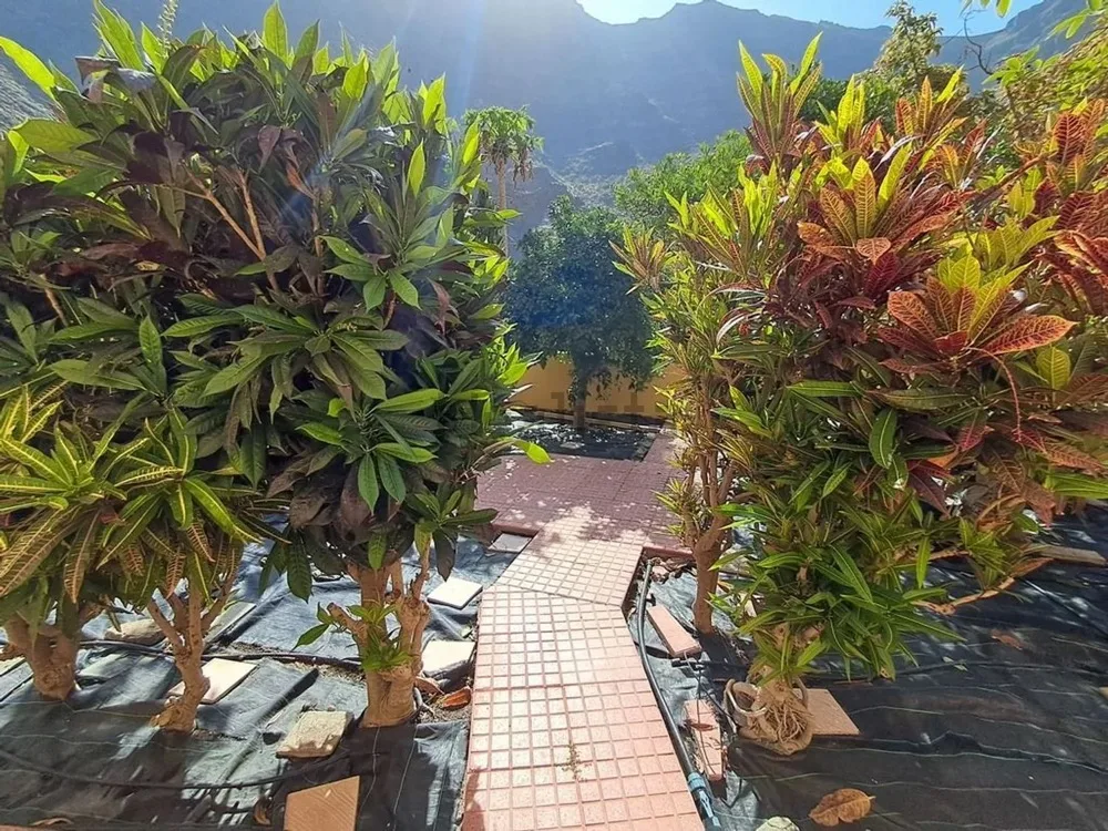 Piso · Mogán · Gran Canaria (2)