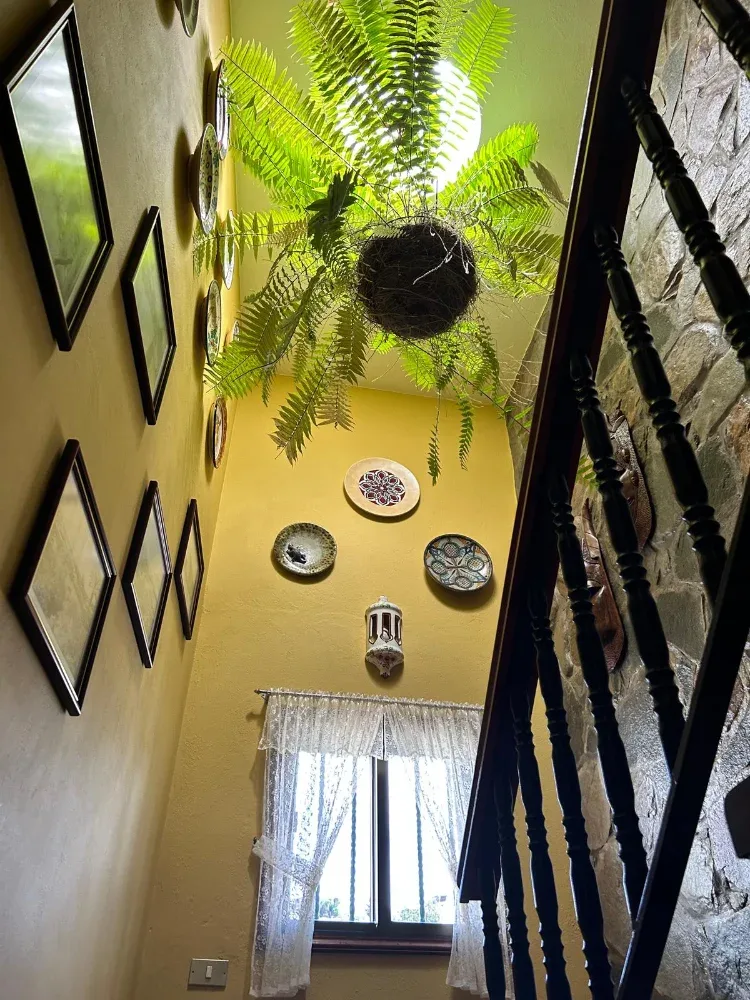 Chalet independiente · Gáldar · Gran Canaria (18)